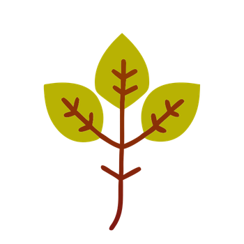 1 (2349).png